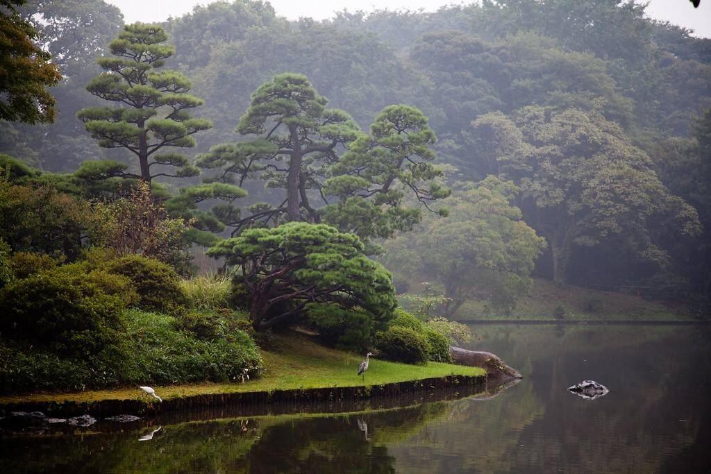 Tora Hotel Tokyo-Rikugienn 寅ホテル 六義園 A Экстерьер фото